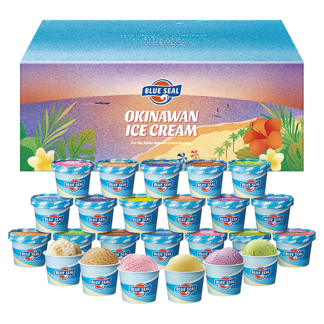 ブルーシールギフト24（送料別）